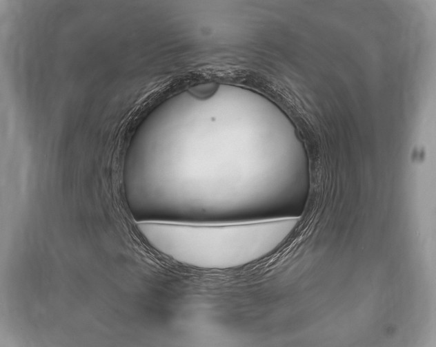 X0000091211297200708091106