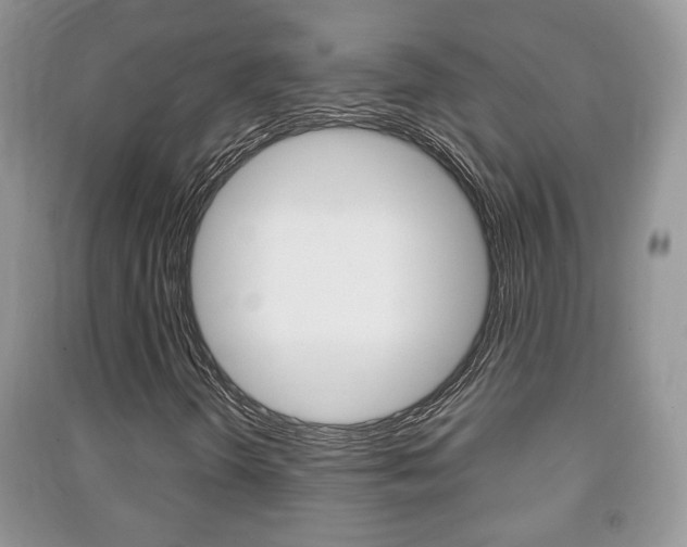 X0000091211298200708091106
