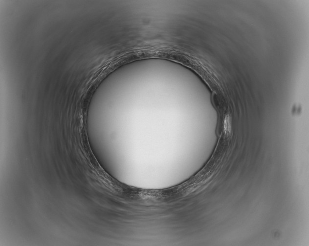 X0000091211299200708091106