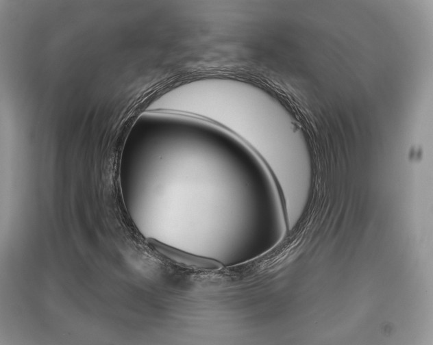 X0000091211300200708091106