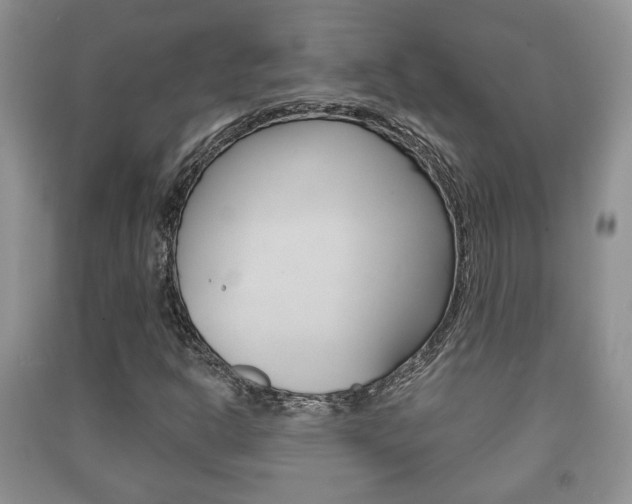 X0000091211302200708091107