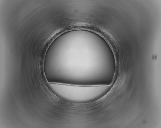 X0000091211305200708091107