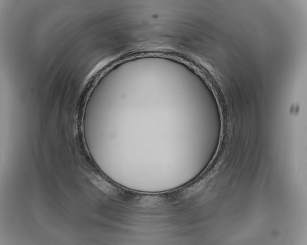 X0000091211306200708091107