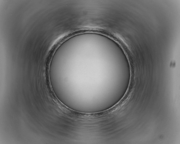 X0000091211307200708091107