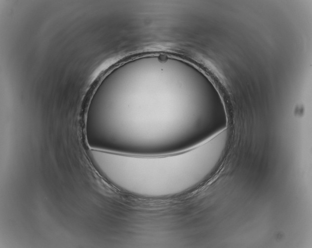 X0000091211308200708091107