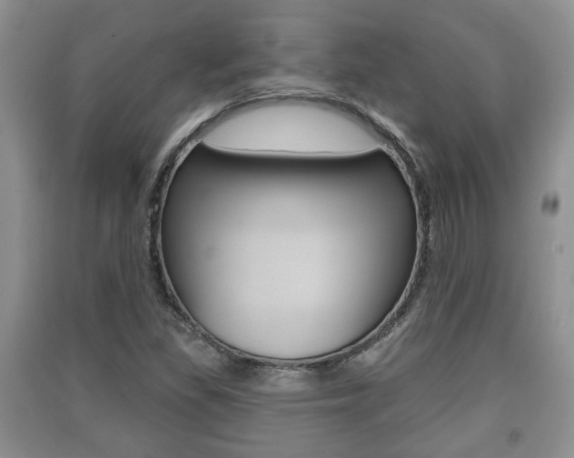 X0000091211309200708091107
