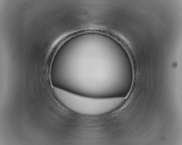 X0000091211310200708091107
