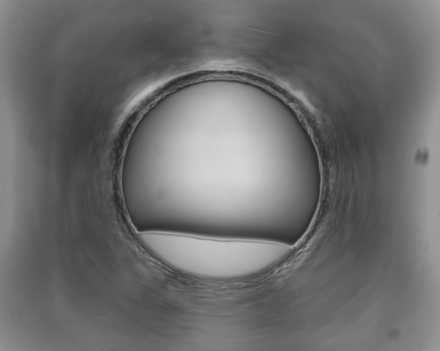 X0000091211311200708091107