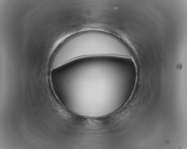 X0000091211312200708091107