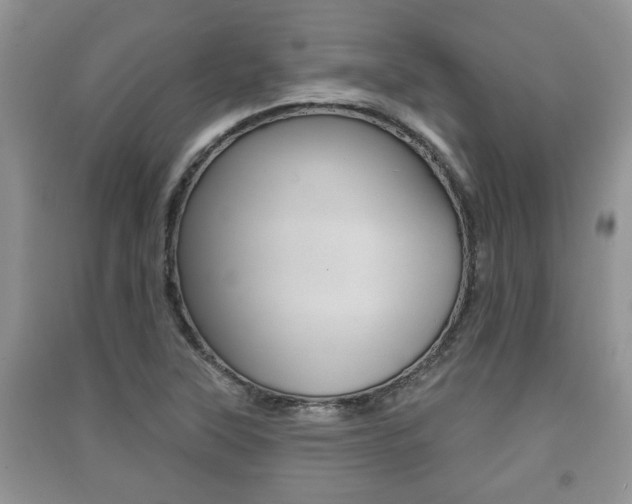 X0000091211315200708091107