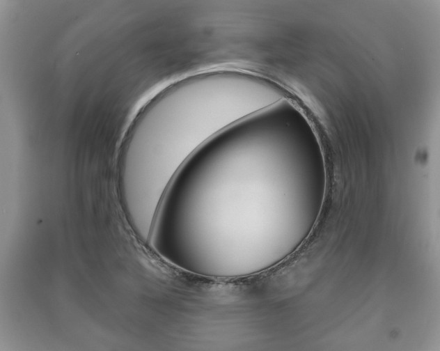 X0000091211316200708091107