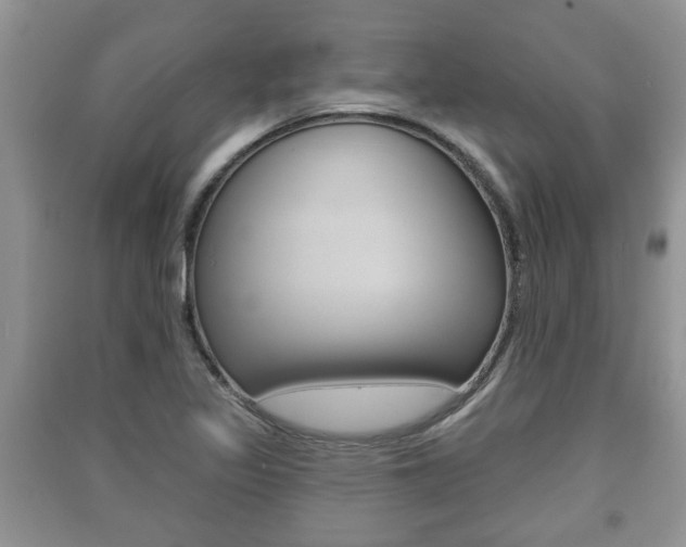 X0000091211317200708091107
