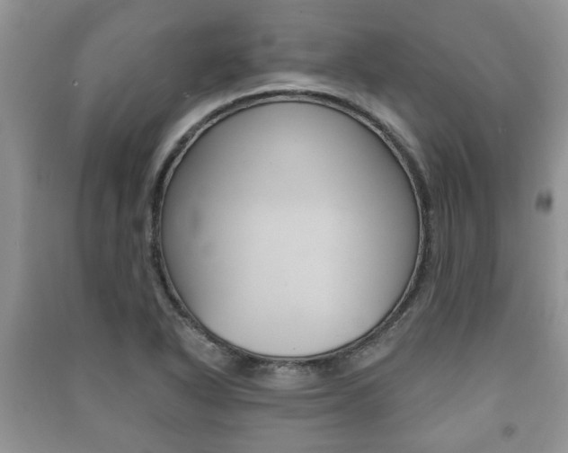 X0000091211318200708091107