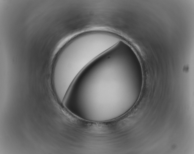 X0000091211319200708091107