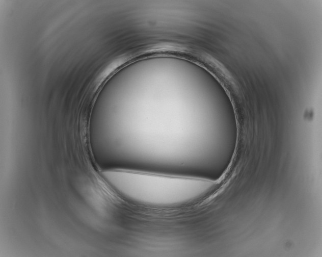 X0000091211321200708091107
