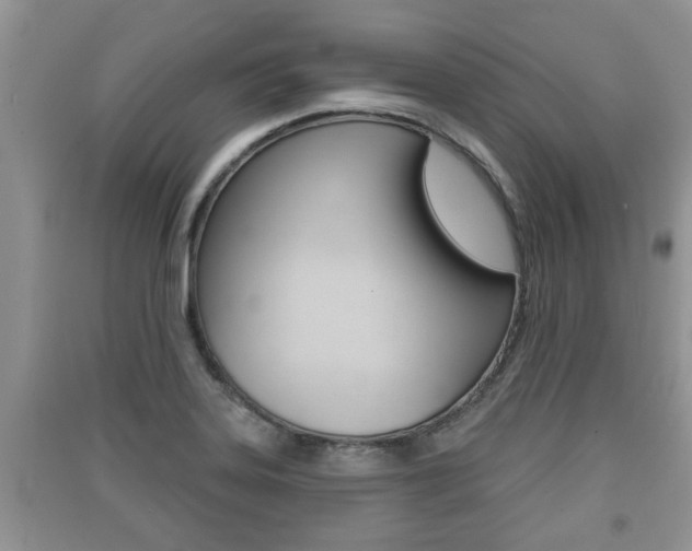 X0000091211323200708091107