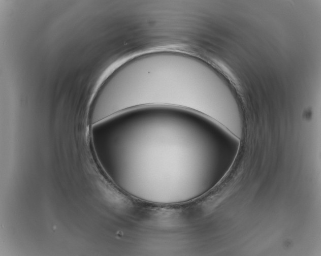 X0000091211324200708091107