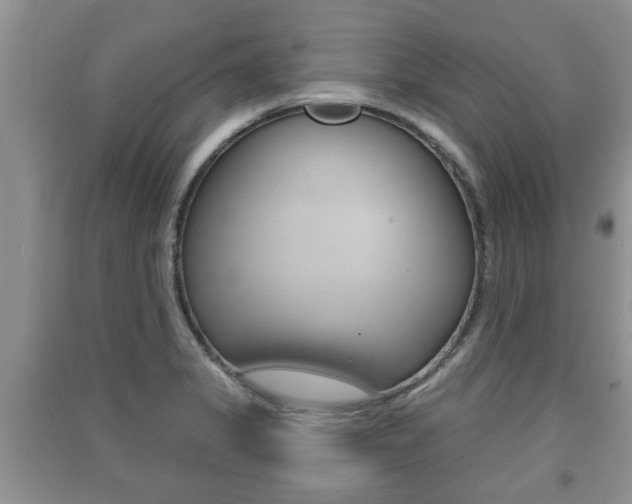 X0000091211325200708091107