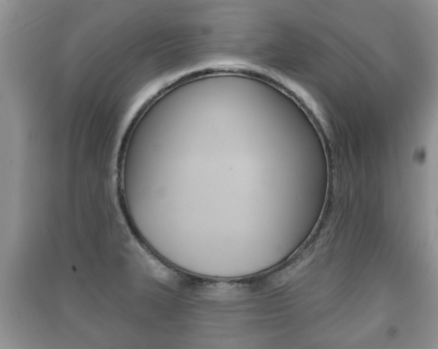 X0000091211327200708091107