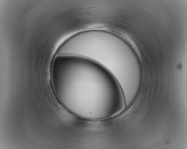 X0000091211328200708091107