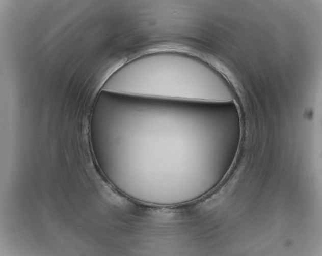 X0000091211329200708091107