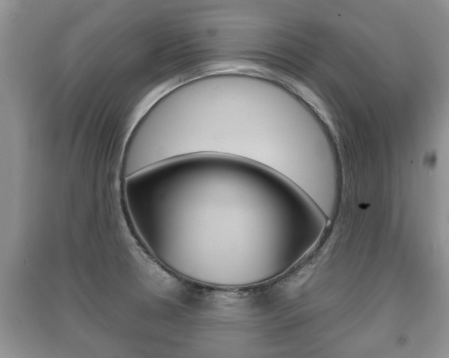 X0000091211330200708091107