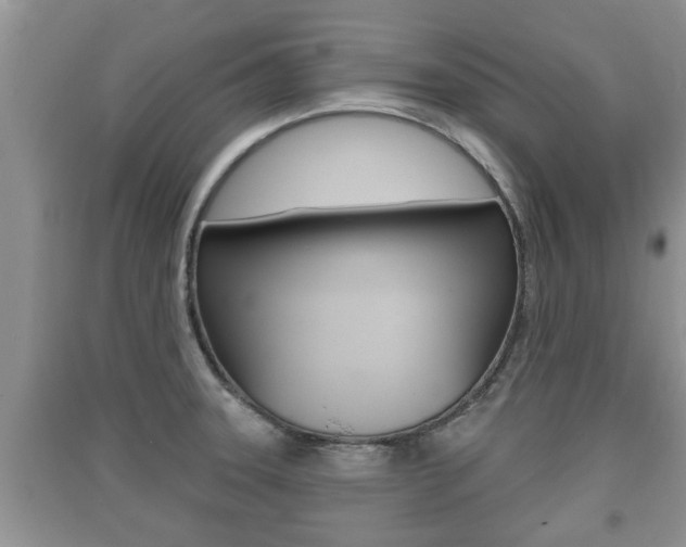 X0000091211331200708091107