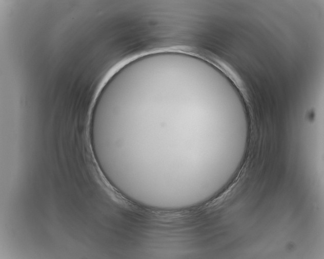 X0000091211332200708091107