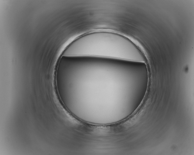 X0000091211333200708091107