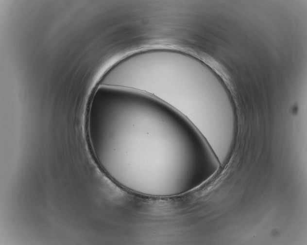 X0000091211334200708091107