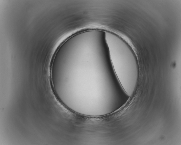 X0000091211335200708091107