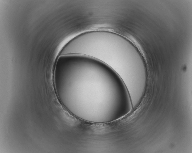 X0000091211336200708091107
