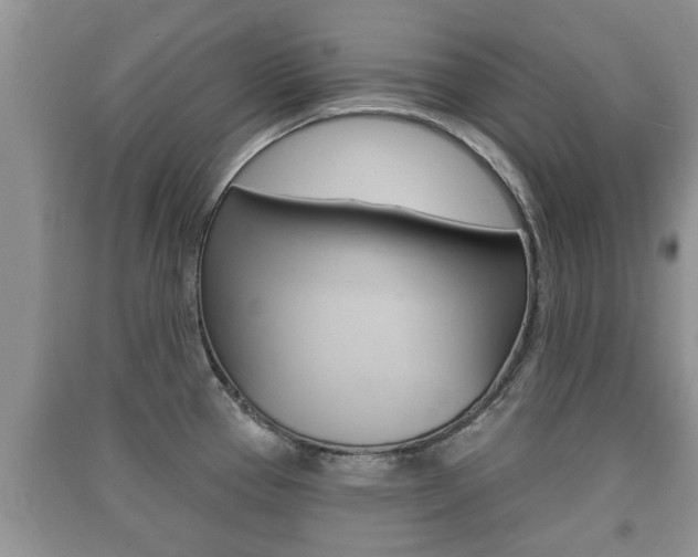 X0000091211337200708091107