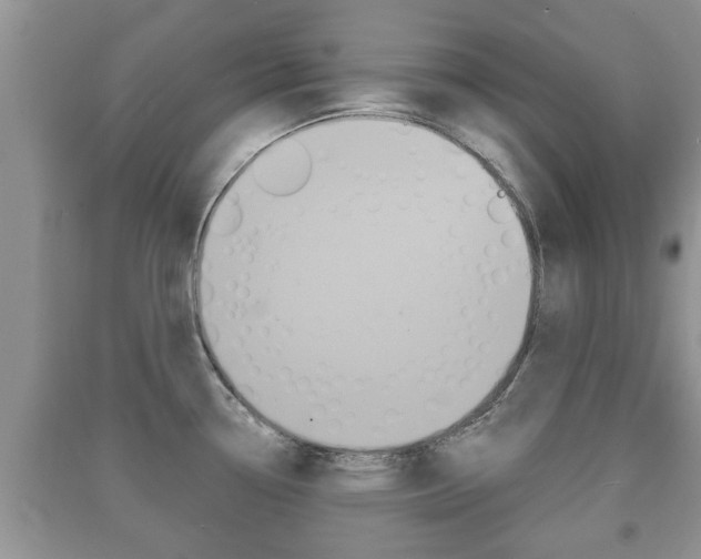 X0000091211338200708091107