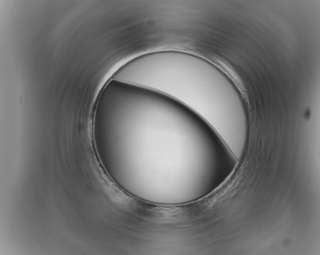 X0000091211340200708091107