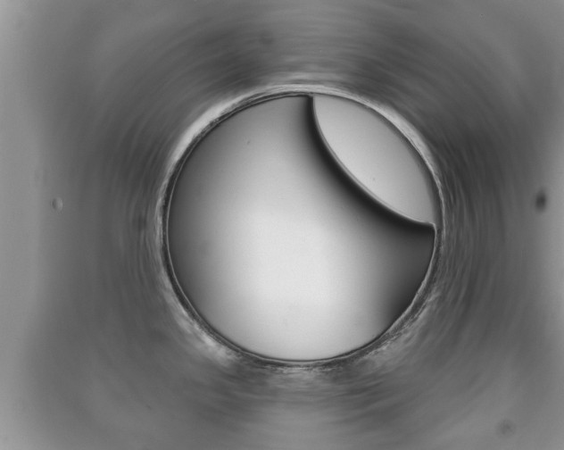 X0000091211341200708091107