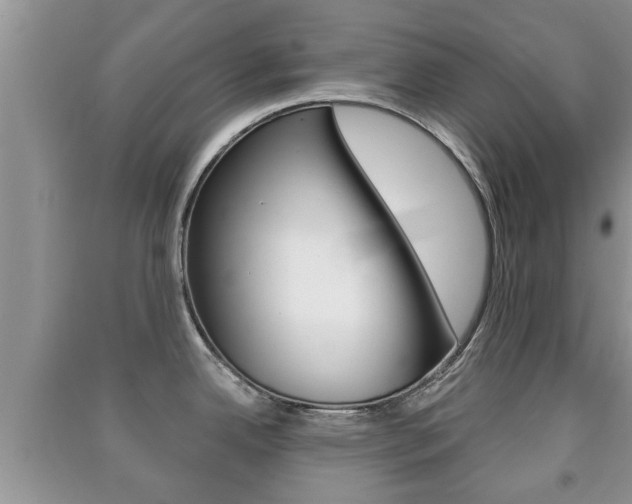 X0000091211342200708091107