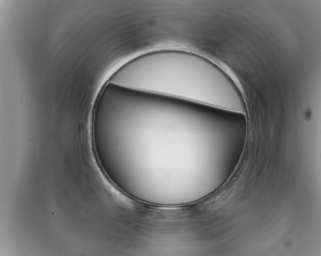 X0000091211343200708091107