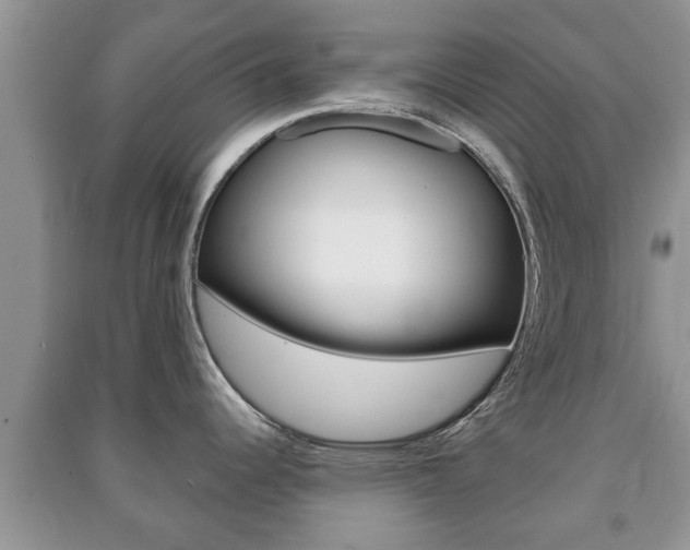X0000091211344200708091107