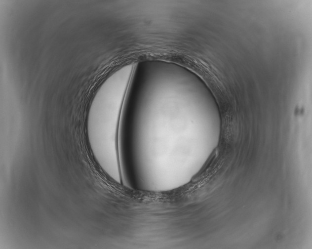 X0000091211345200708091106