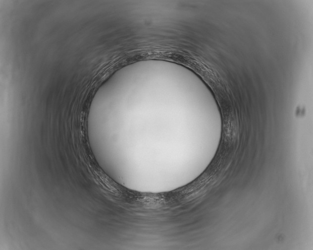 X0000091211346200708091106