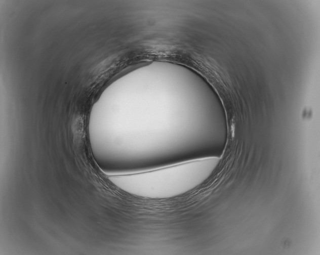 X0000091211347200708091106