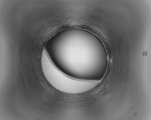 X0000091211348200708091106