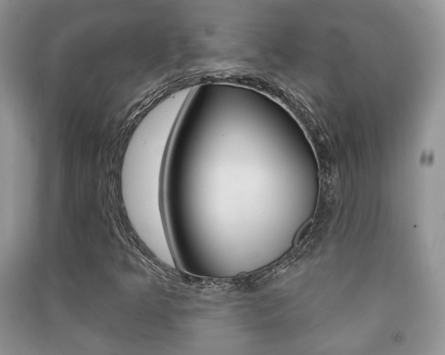 X0000091211349200708091106