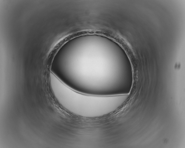 X0000091211352200708091106