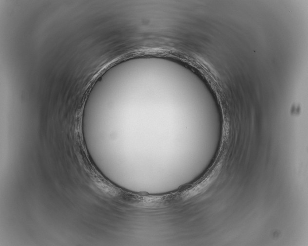 X0000091211353200708091106