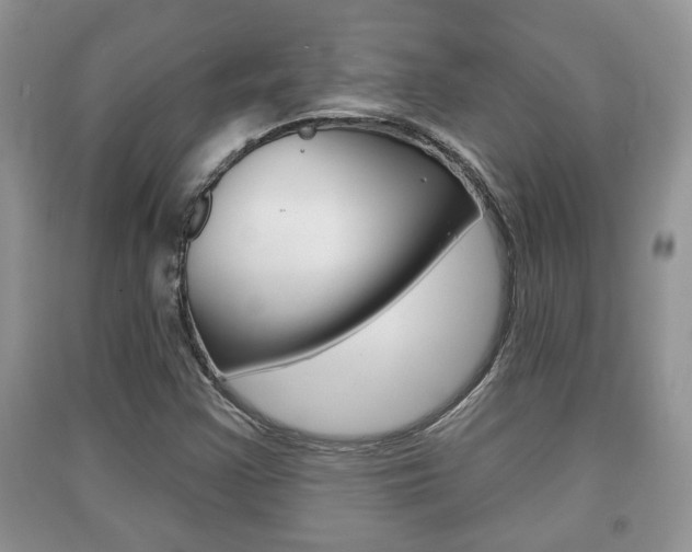 X0000091211355200708091106