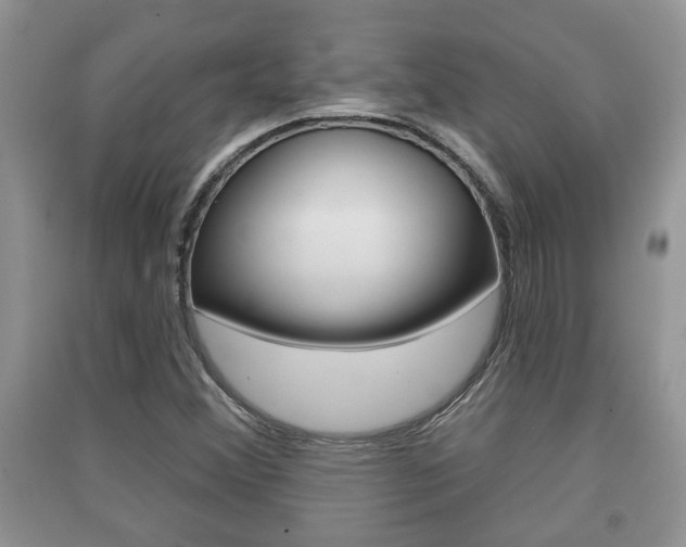 X0000091211356200708091106
