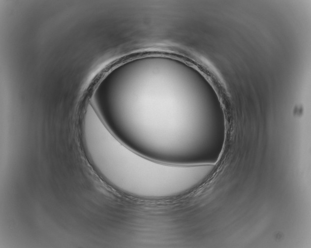 X0000091211360200708091106