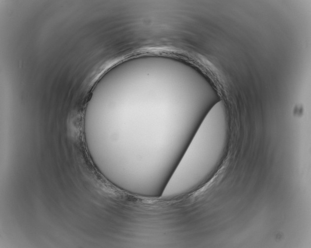 X0000091211361200708091106